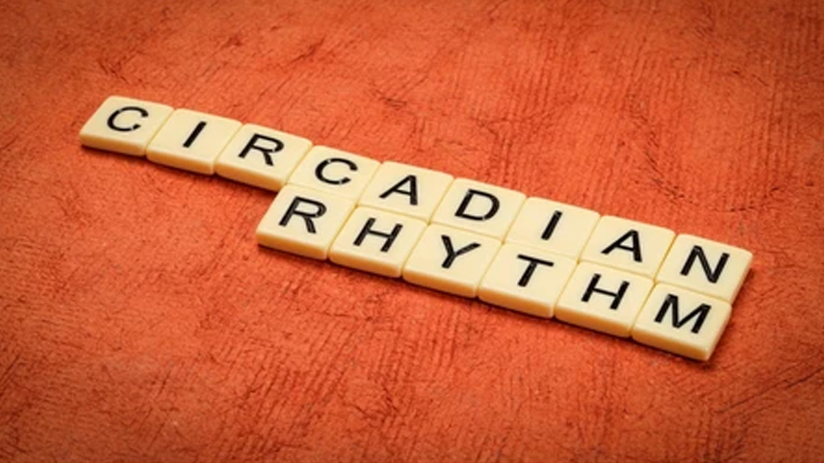 circadian-rhythm