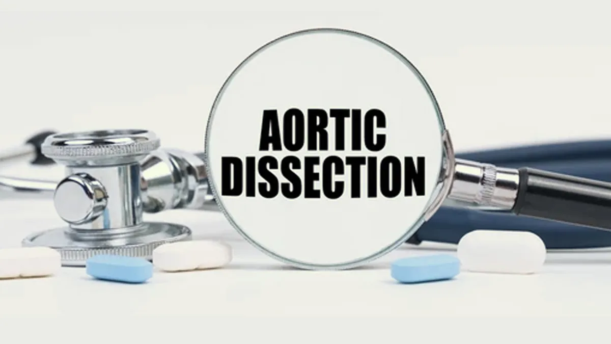 Aortic Dissection Explained: Causes, Symptoms, Diagnosis And Treatment