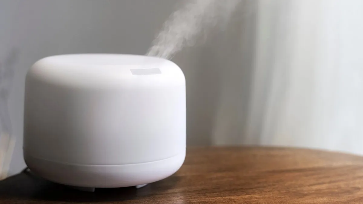Asthma Care: Here's Why You Should Invest In A Humidifier