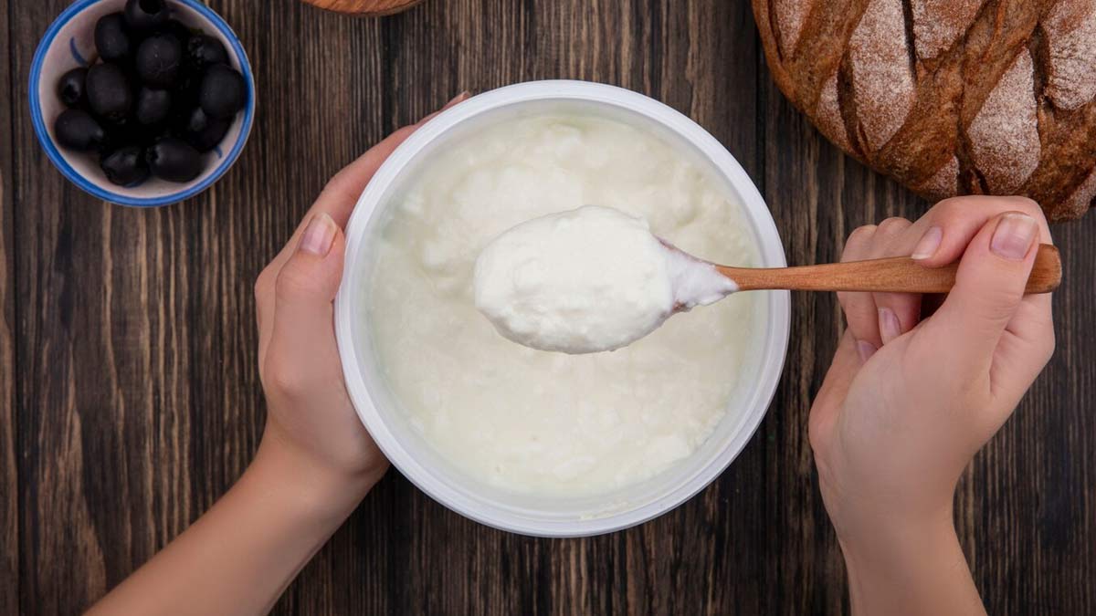 Should You Avoid Curd At Night? Expert Weighs In OnlyMyHealth(00)