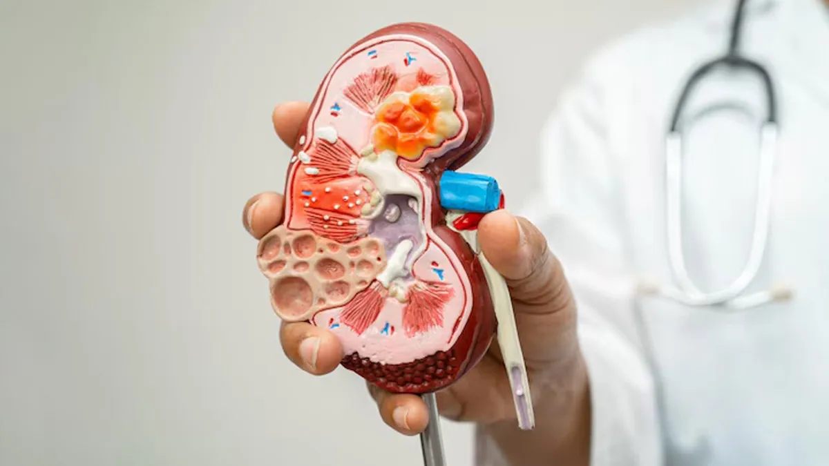 Are Your Kidneys Trying To Tell You Something? 5 Signs Of Kidney Damage That Appear At Night