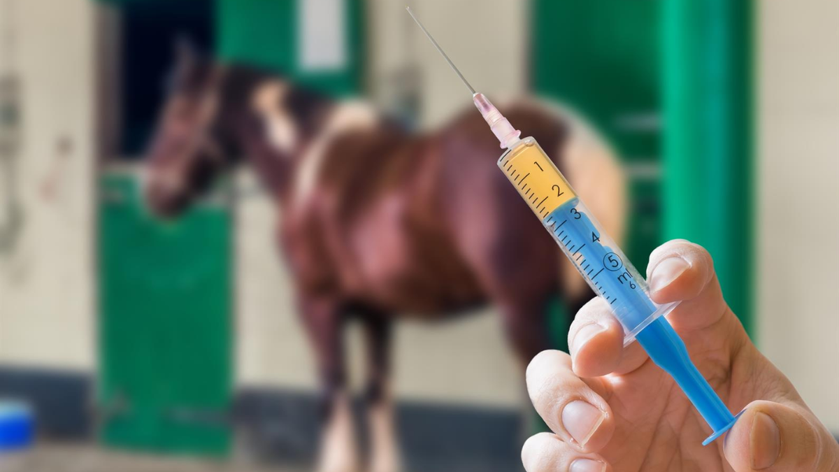 03-equine-flu
