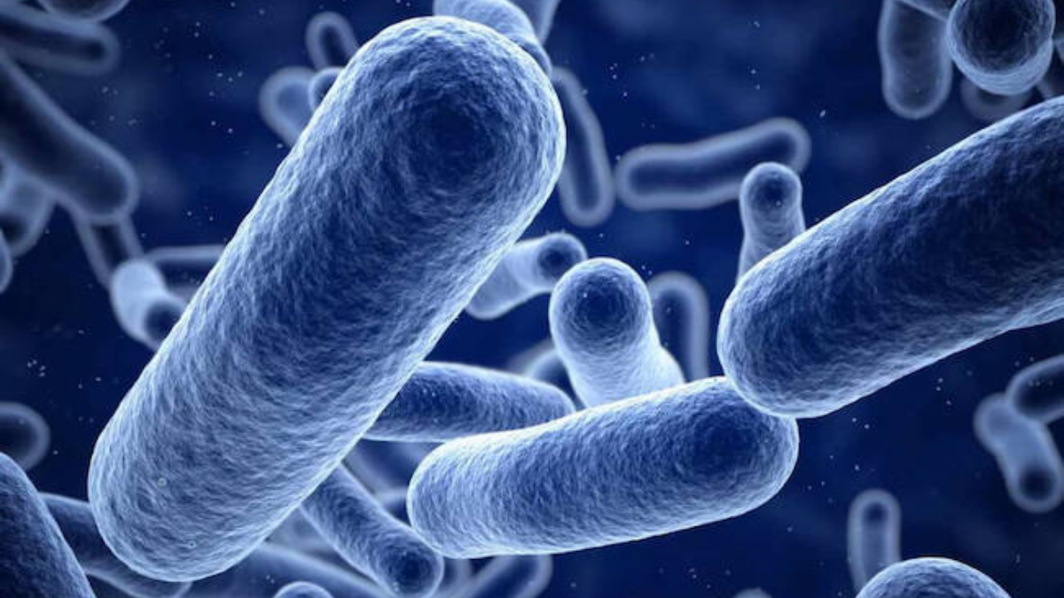 Listeria Outbreak In California: 10 Hospitalised As Company Recalls Food Products Statewide