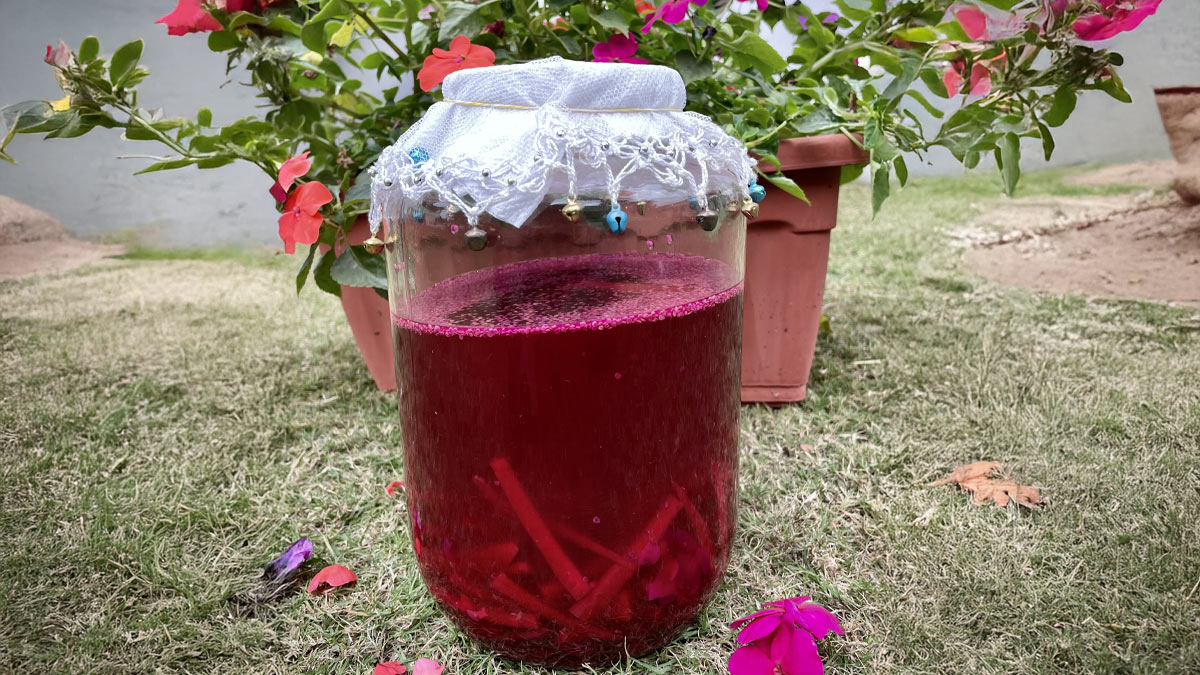 1 - 2025-05-15T143342.799