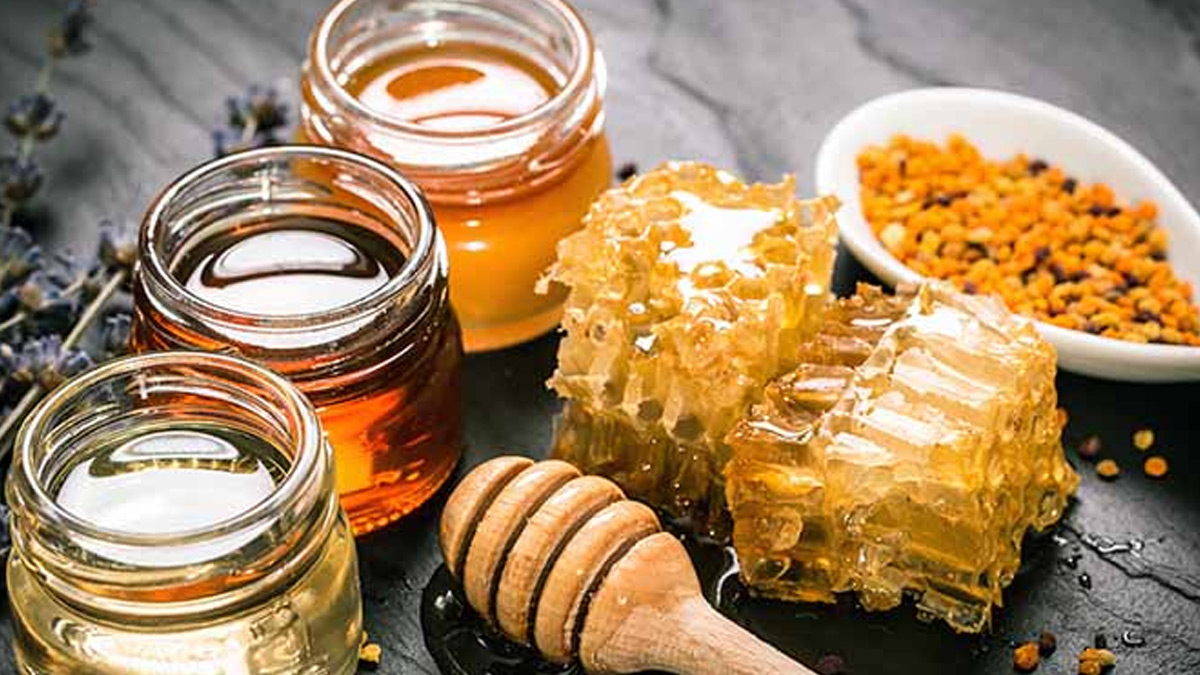 2 - 2025-05-15T185144.617