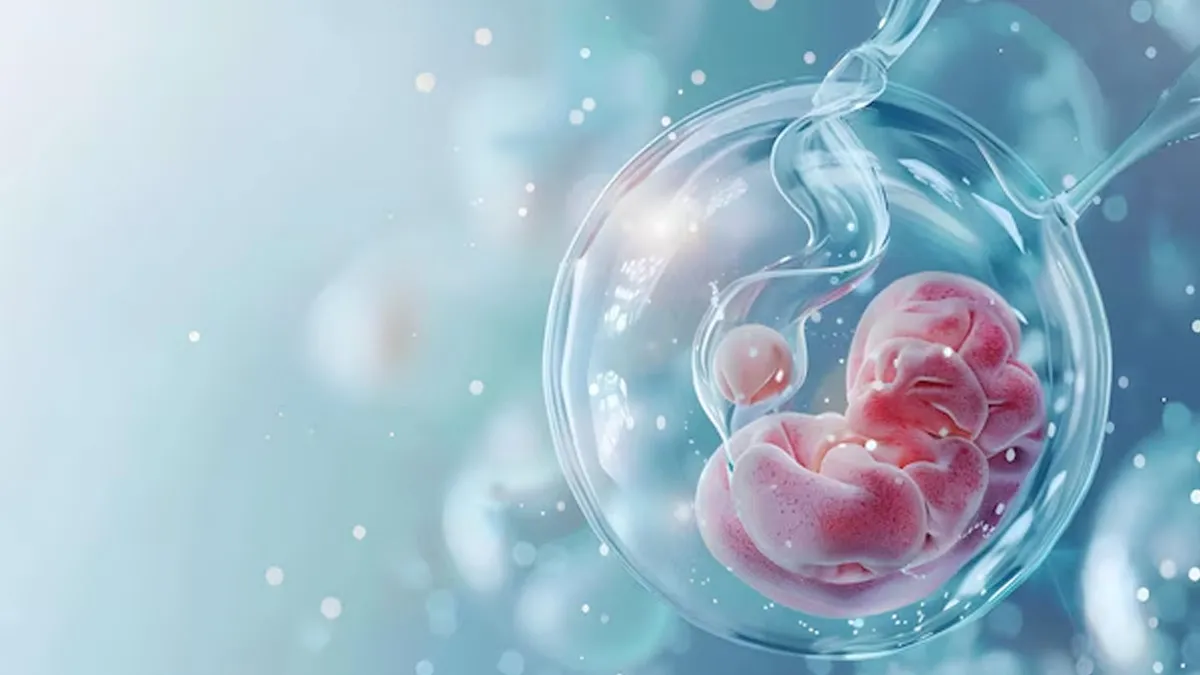 Miscarriage And IVF: Timing And Considerations For Your Next Steps