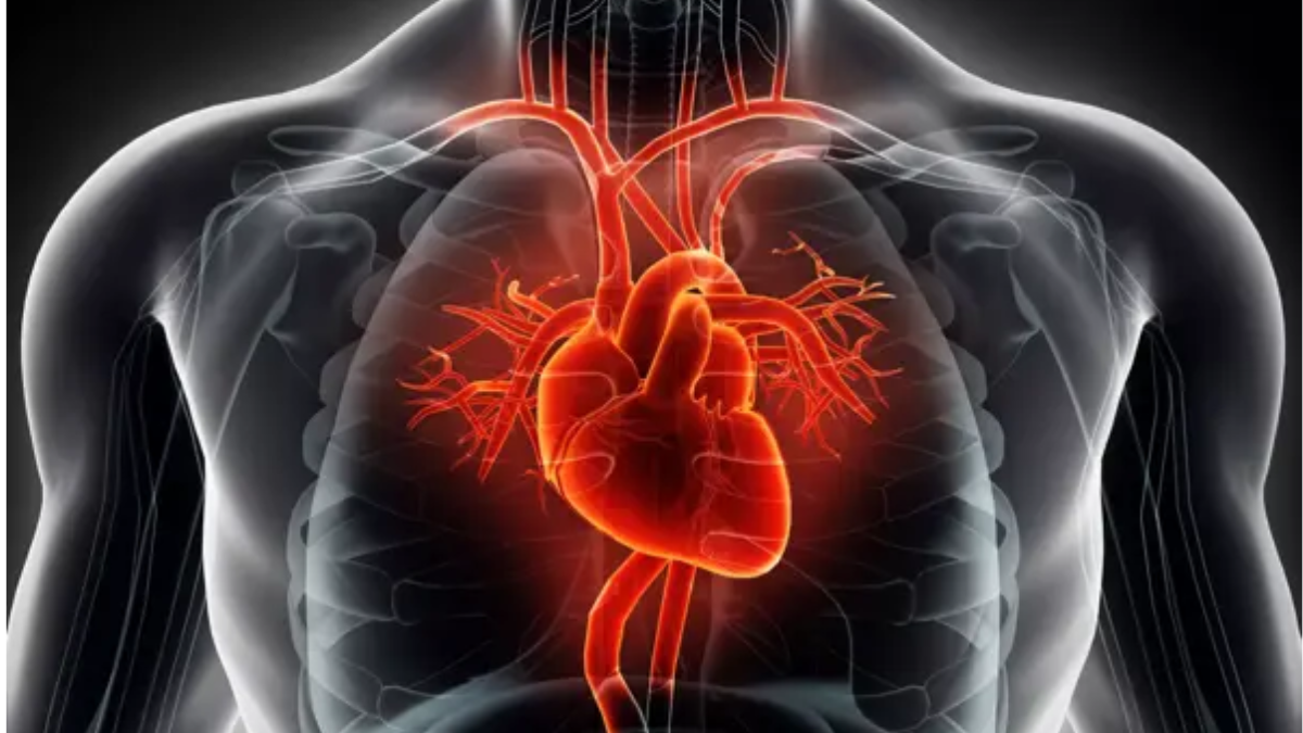 Men Are More Likely To Die Of 'Broken Heart Syndrome,' Study Says