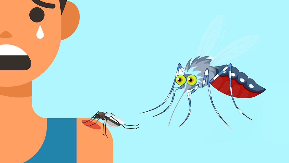 national dengue day prevention tips 2 - 2025-05-16T101148.677