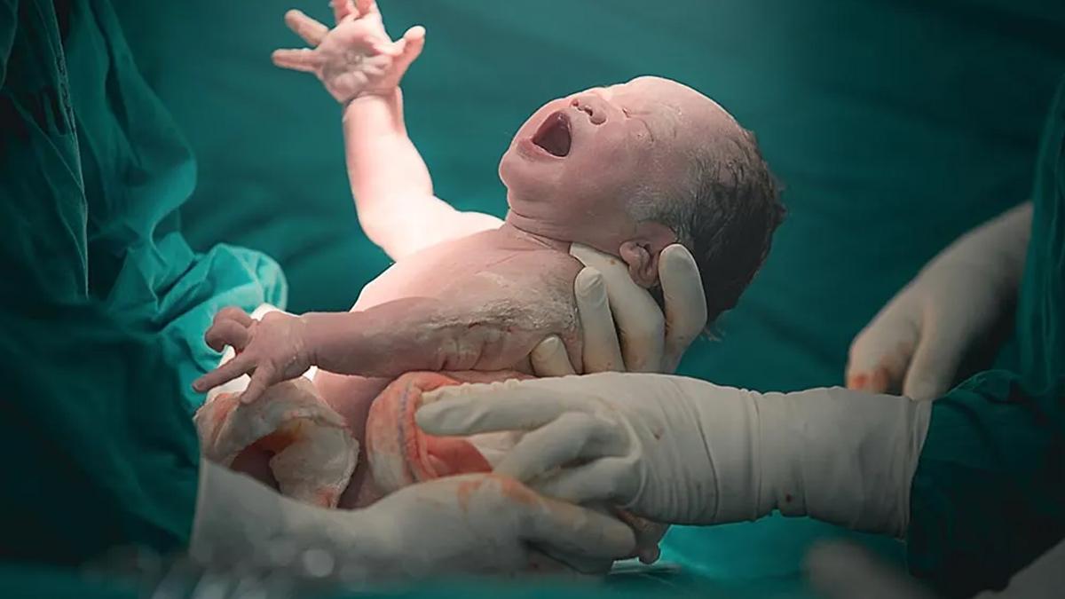 3 - 2025-05-19T120839.430