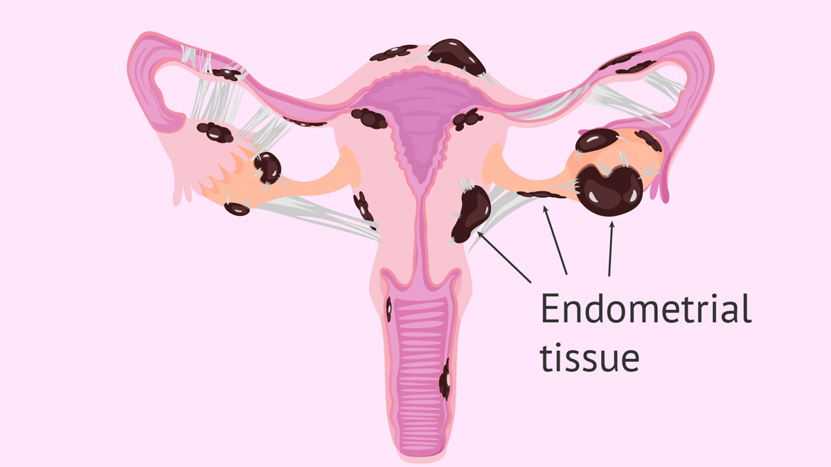 3 - 2025-05-19T132045.101