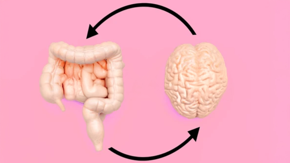 gut-and-brain-axis