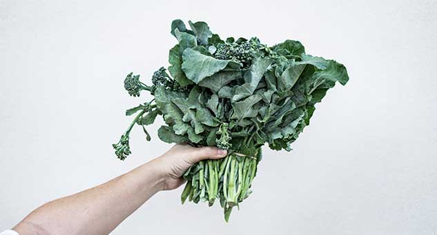 kale-green