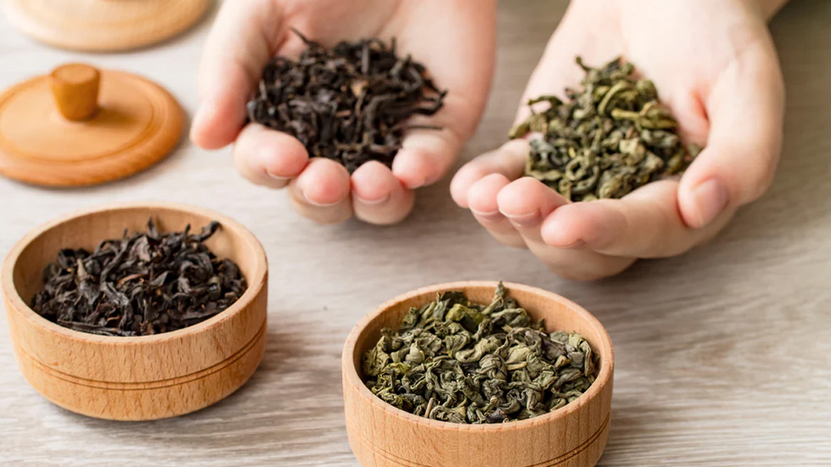 black tea or green tea 1 - 2025-05-21T122608.625