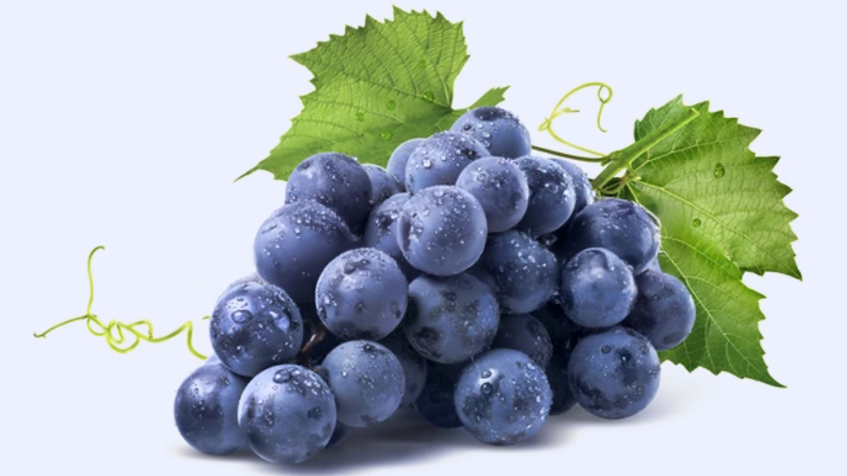grape-leaves