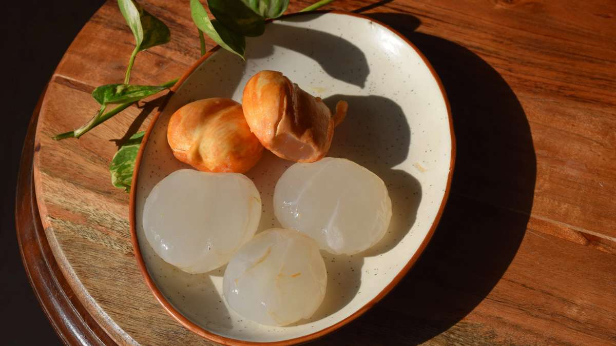 ice apple health benefits 2 - 2025-05-26T155500.885