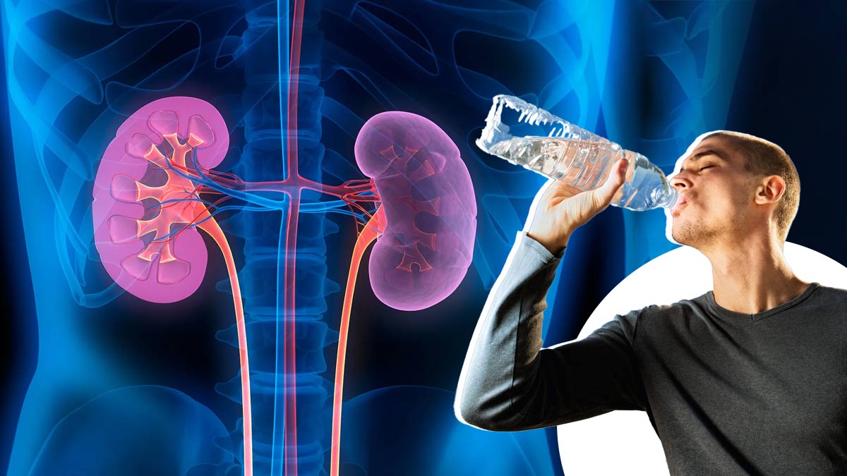 Is Drinking Water While Standing Bad for Your Kidneys? What Science and Expert Say