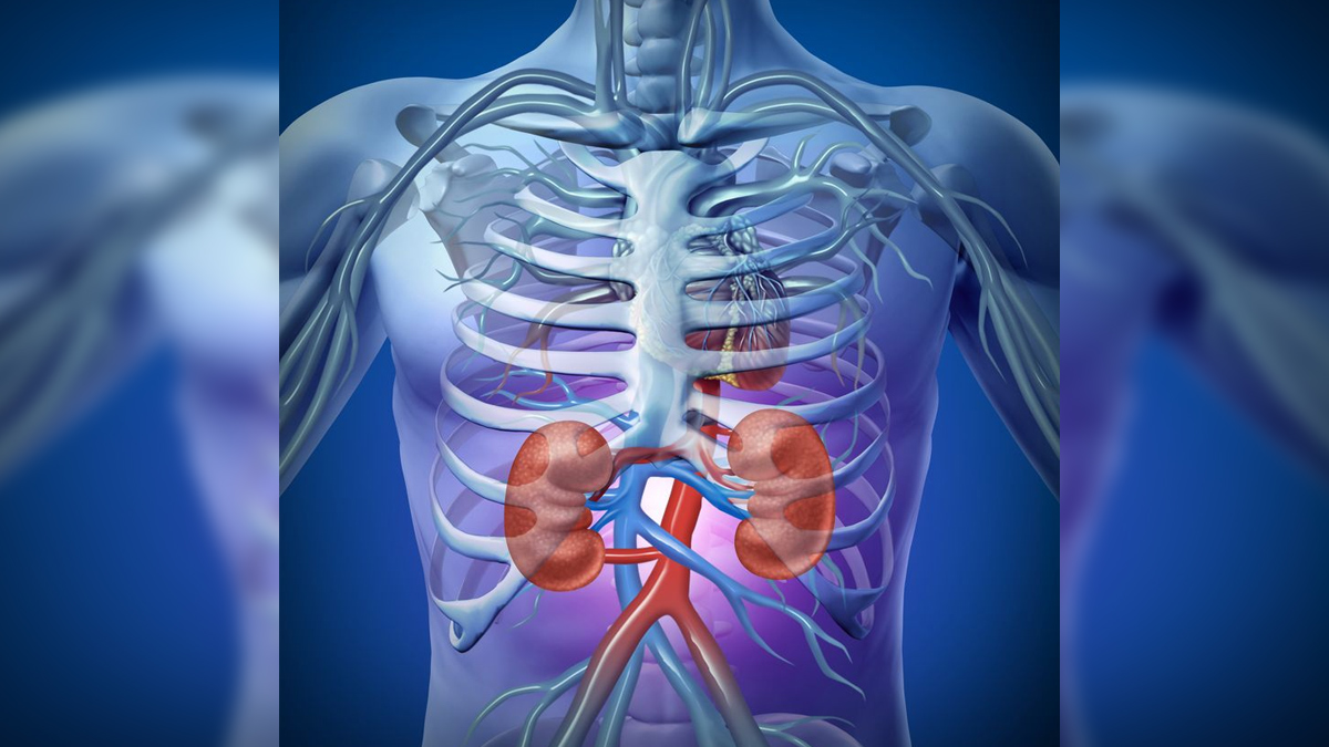 water and kidney health 1 - 2025-05-30T154209.447