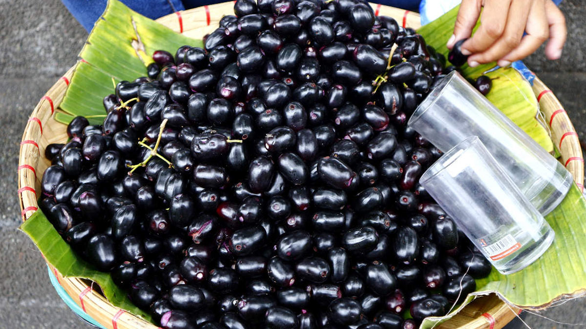 jamun for bp diabetes 2 - 2025-06-03T110931.171