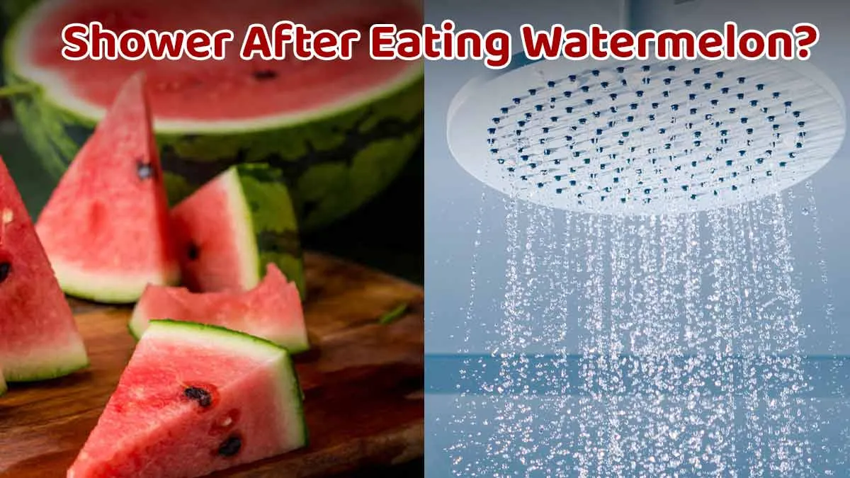 Showering After Eating Watermelon: Expert Reacts To Myth vs Reality on Digestive Health
