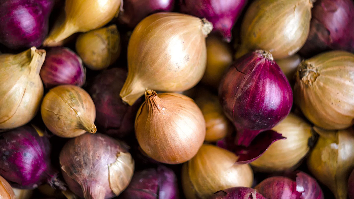 harmful side of onion 1 - 2025-06-09T181340.697