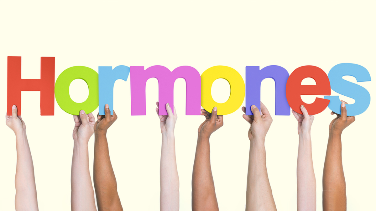 hormones