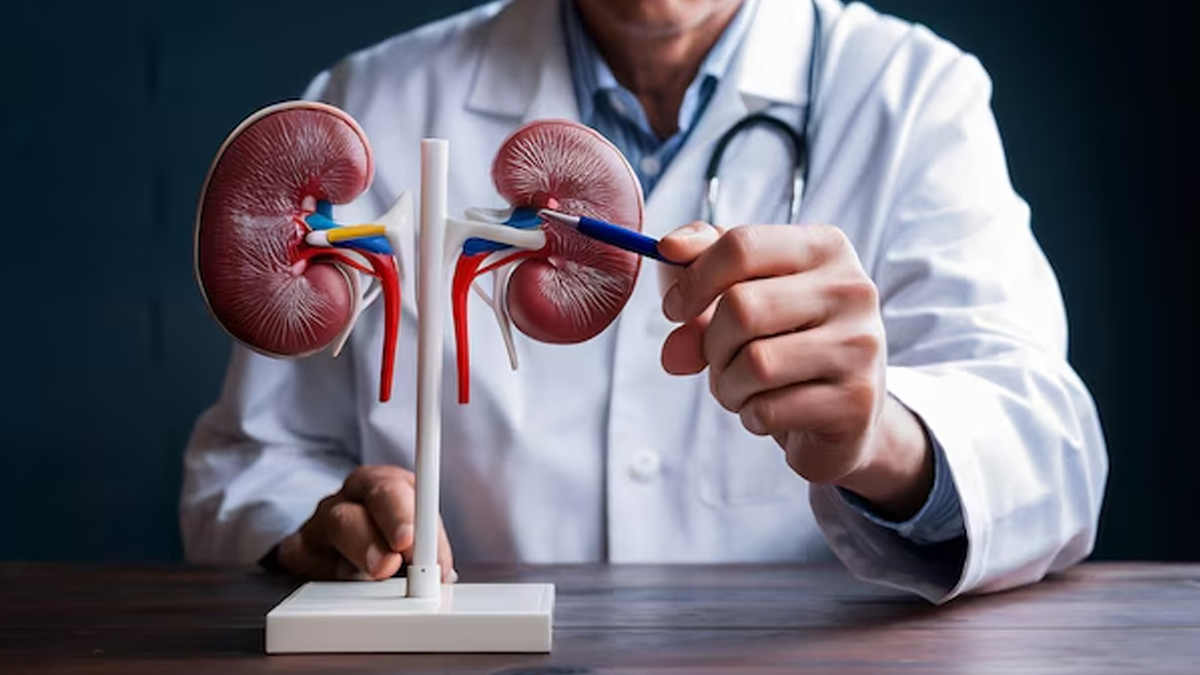 kidney-health