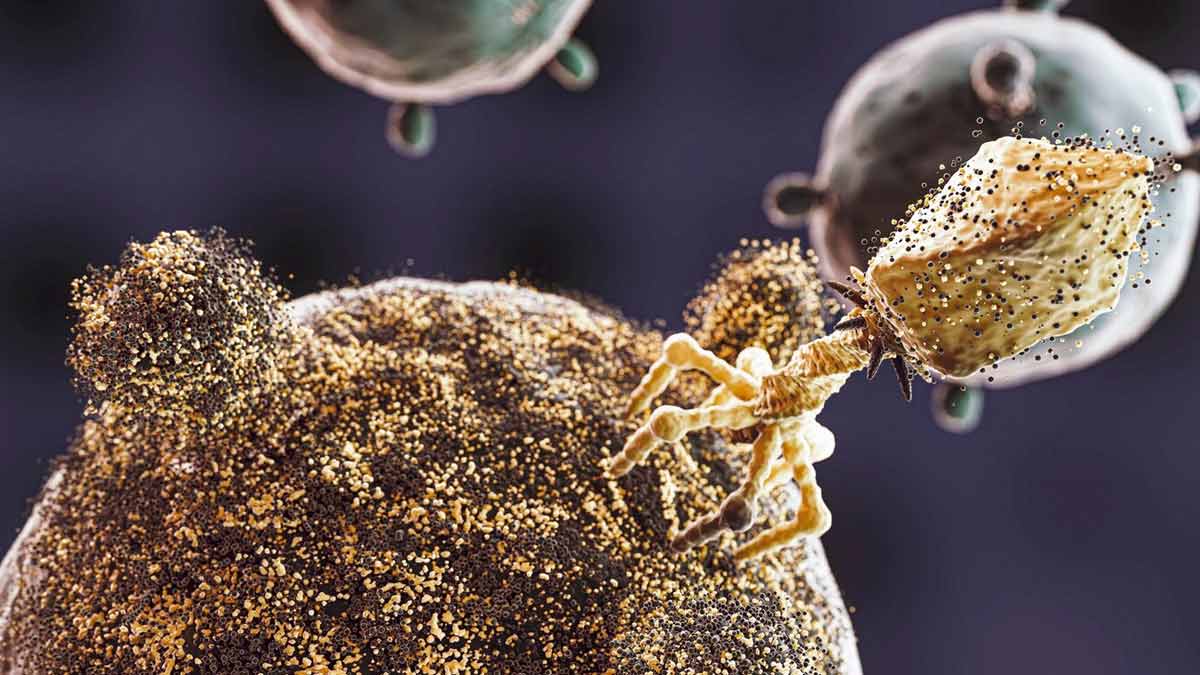 Gold-based drugs can slow down cancer in animals by 82% and target cancers more selectively than standard chemotherapy drugs, according to new research out of RMIT University