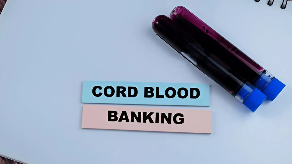 Cord Blood Banking Explained: Expert Explains How It Could Be A Lifesaving Choice For Your Baby