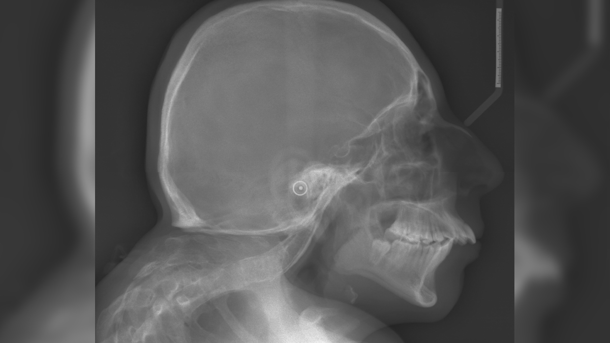 1 - 2025-06-13T130721.596