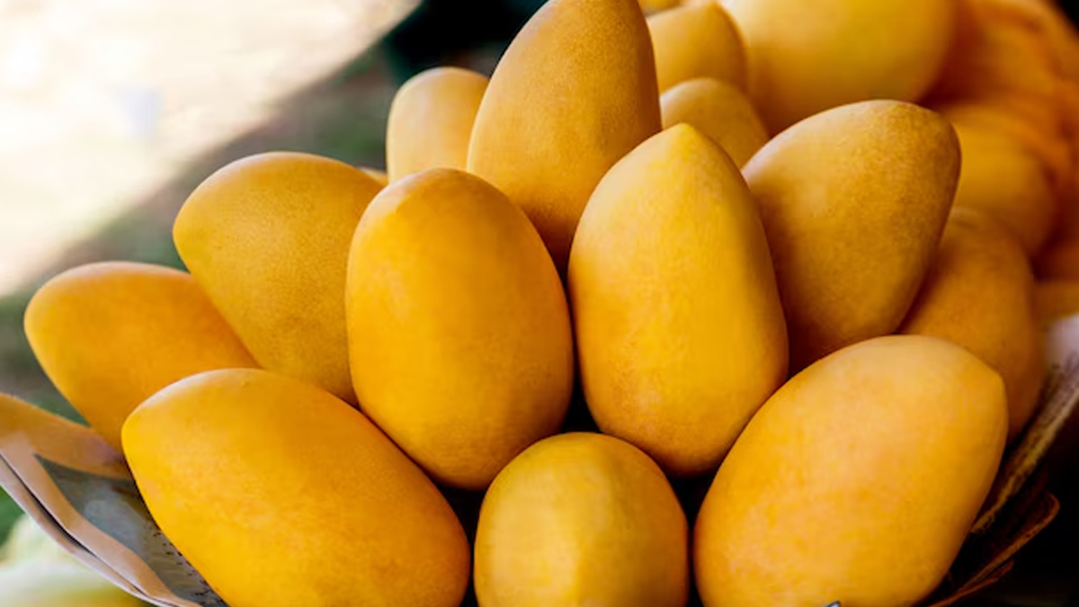 mangoes