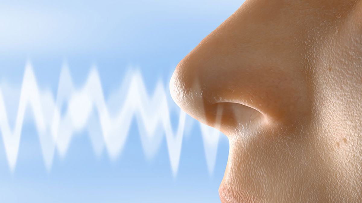 nose sniffing 3 - 2025-06-17T162144.235