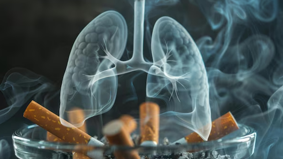 EFFECTS OF SMOKING ON LUNGS AND HEART