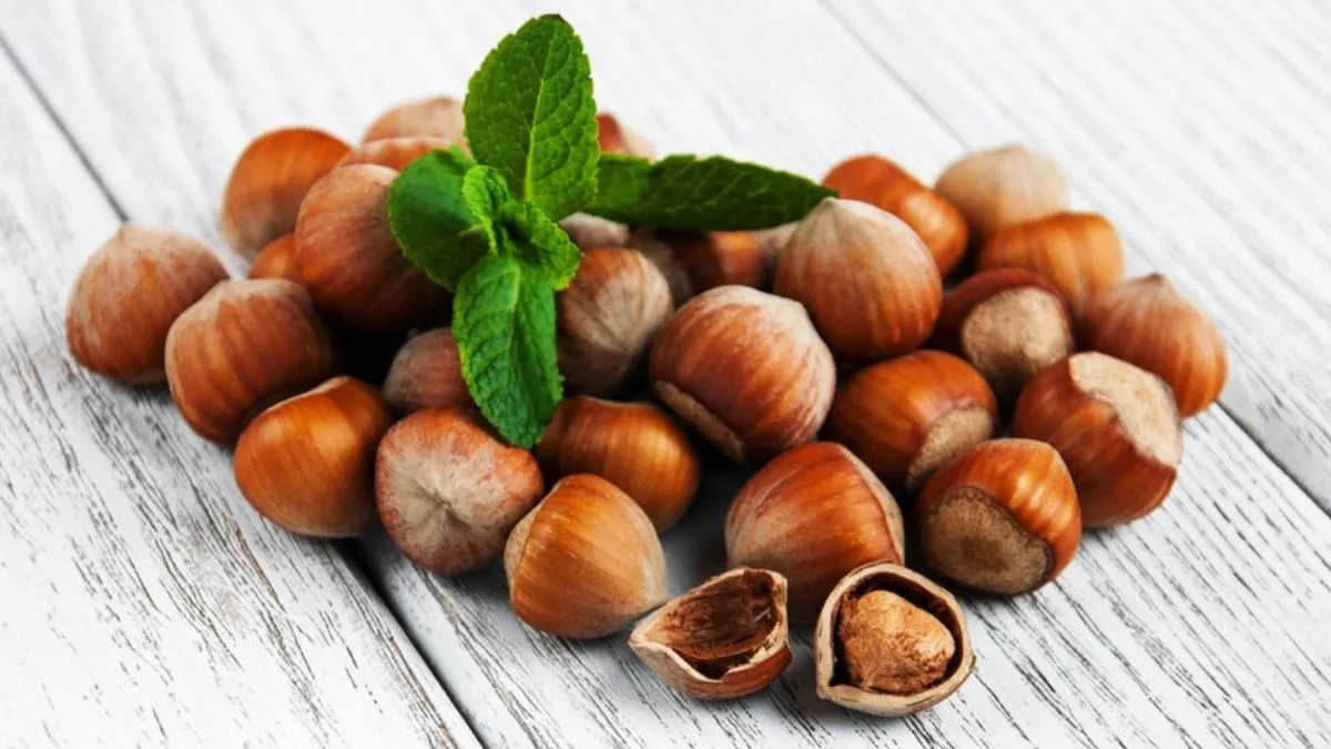 Boost Your Monsoon Health: 5  Benefits Of Consuming Hazelnut For Overall Health You Need to Know