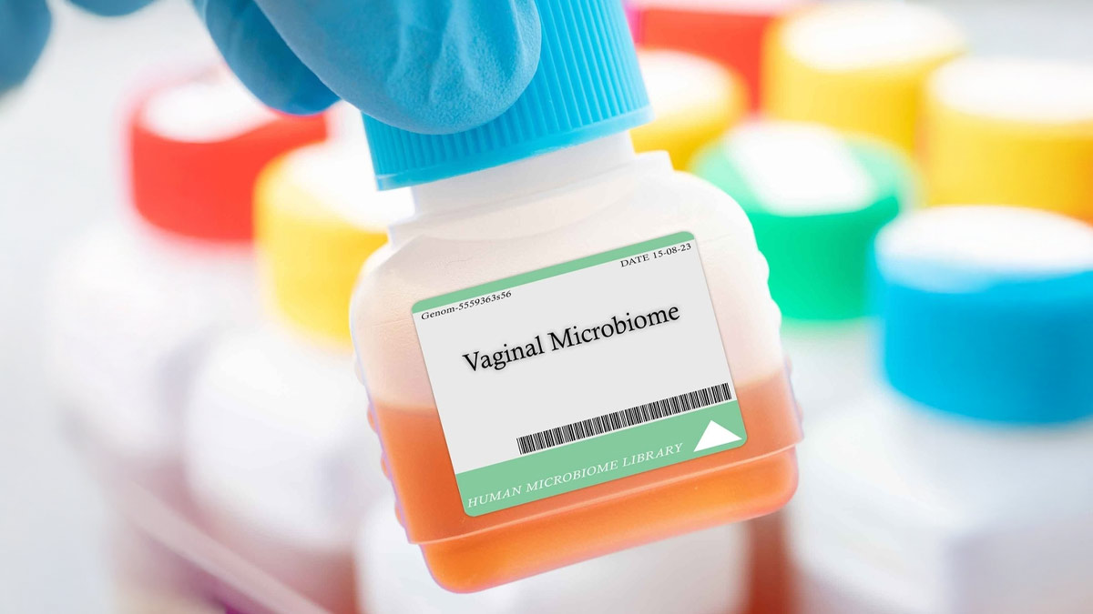 Vaginal Microbiome Health: How It Shapes Fertility, Hormones, And Infection Risk
