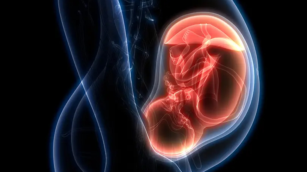 steroids in third trimester of pregnancy 2 - 2025-06-24T181200.383