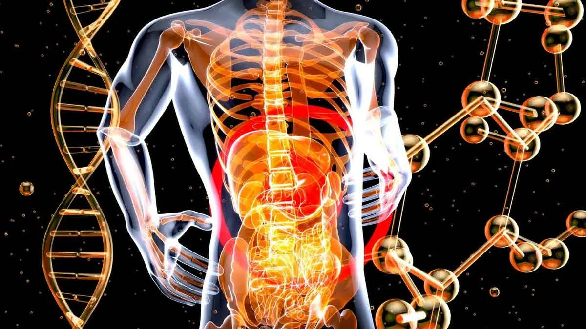 The Gut-Bone Link: Why Strong Bones May Start With A Healthy Gut