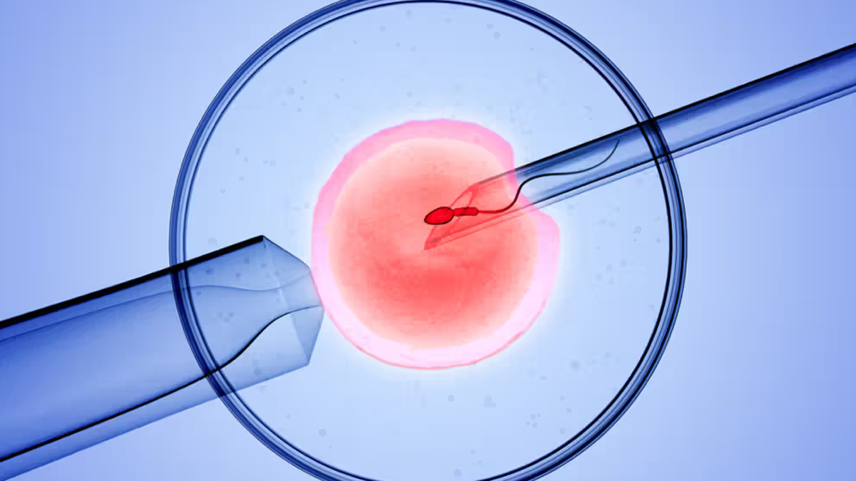 1 - 2025-06-25T155920.983