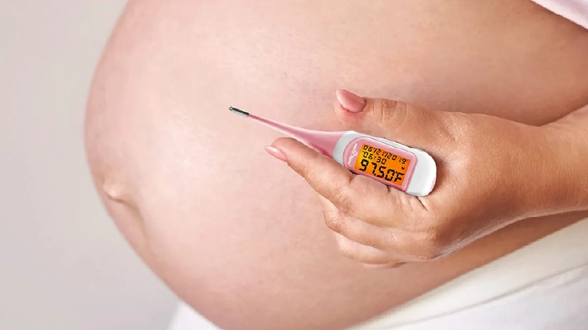 What Is Basal Body Temperature? How Does It Change in Early Pregnancy