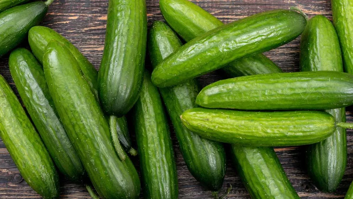 Can Cucumbers Be A Source Of Infection?
