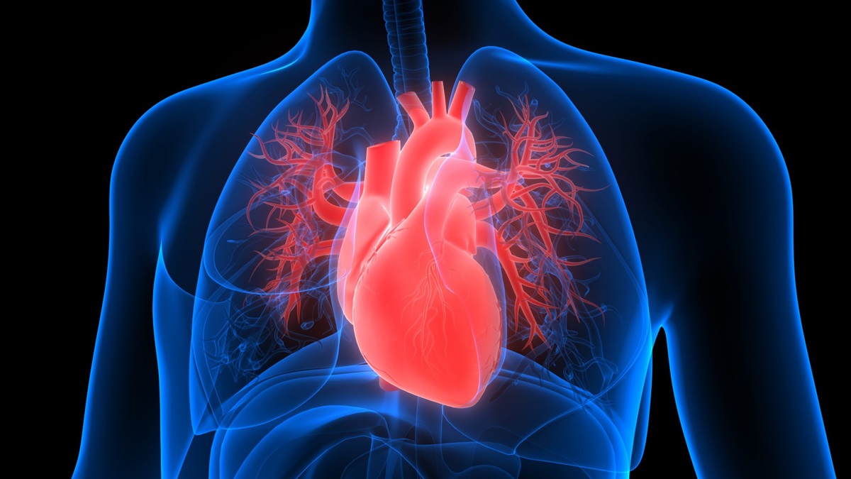 2 - 2025-06-26T124202.139