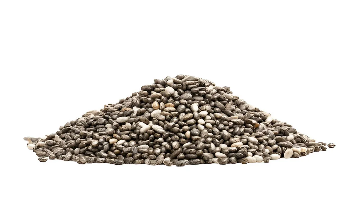 White Chia Seeds Vs Black Chia Seeds: Expert Explains The Differences Between The Two