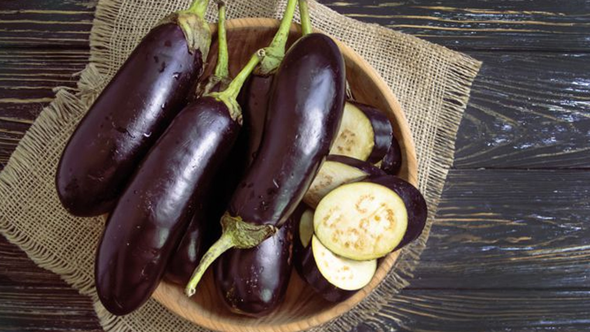 brinjal during rain monsoon 1 - 2025-07-01T155025.044