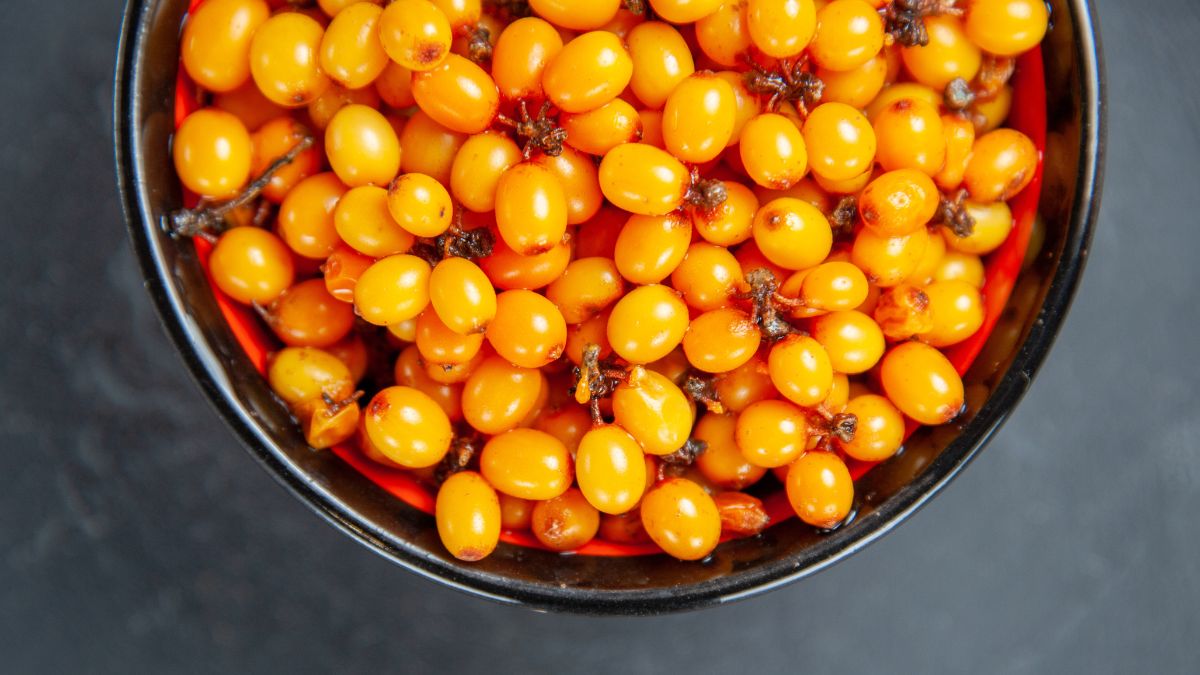 Sea Buckthorn