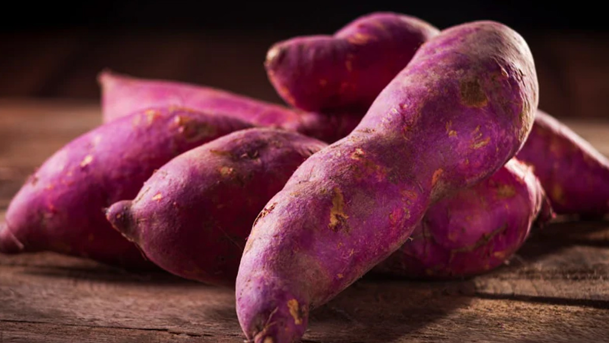 1 - 2025-07-02T131322.785