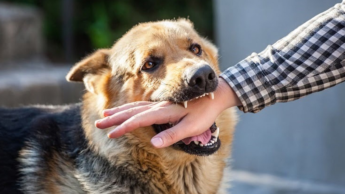 1 - 2025-07-03T130151.675