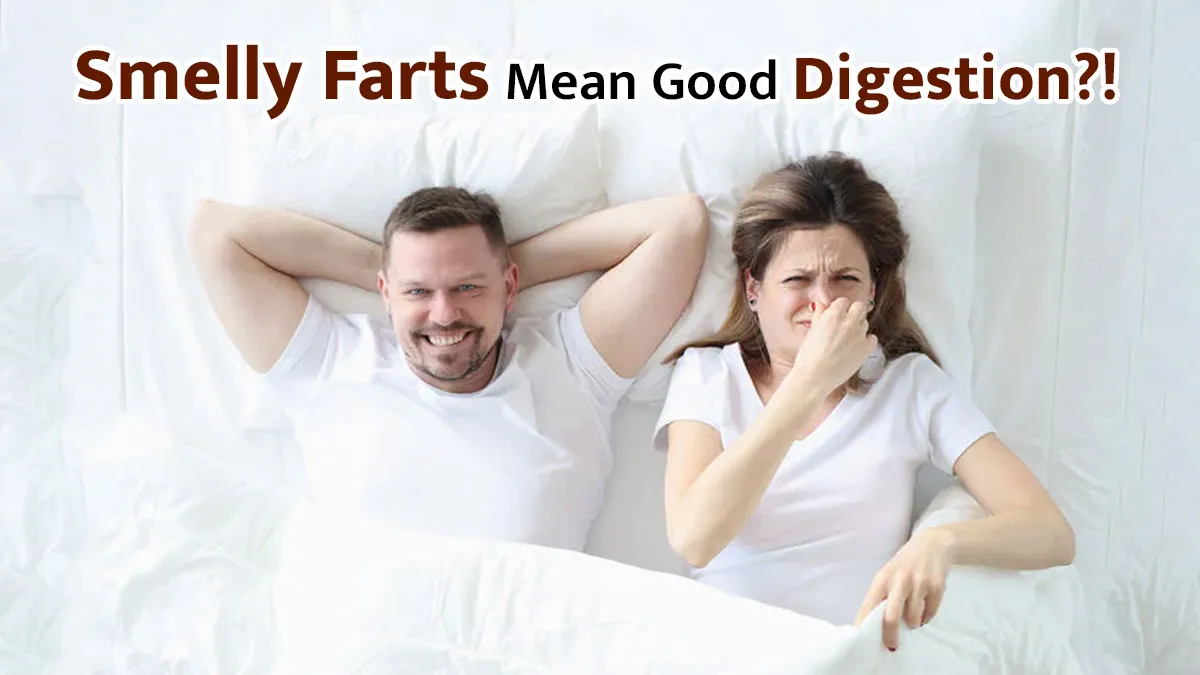 Do Smelly Farts Mean Good Digestion? What Your Gas Says About Your Gut