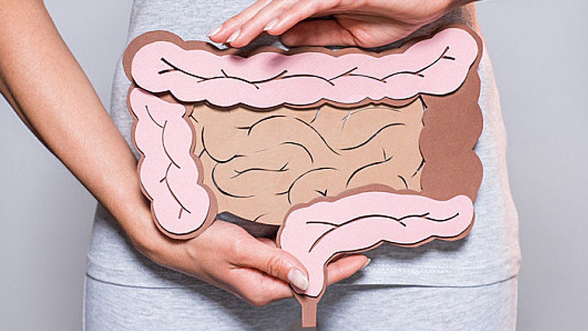 1 - 2025-07-04T164107.642