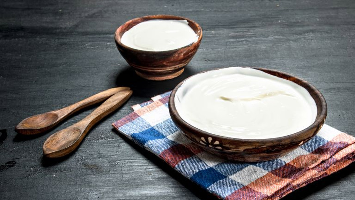 curd benefits 3 - 2025-07-04T114050.215