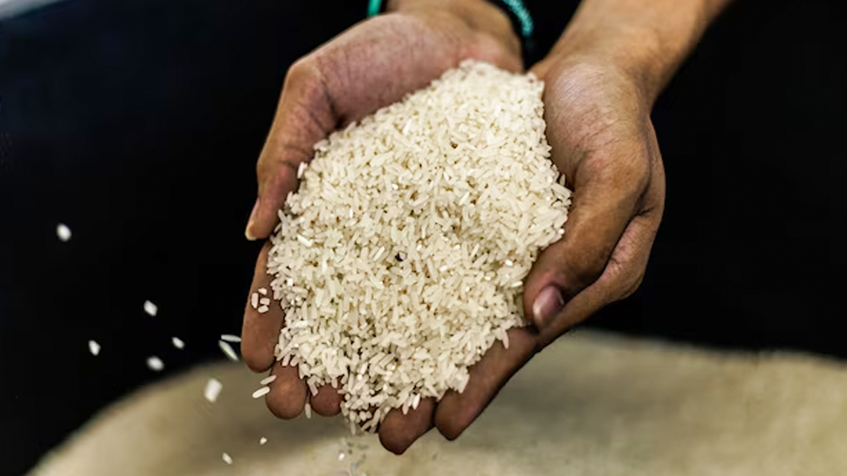 Should You Be Worried About Arsenic Levels In Rice?
