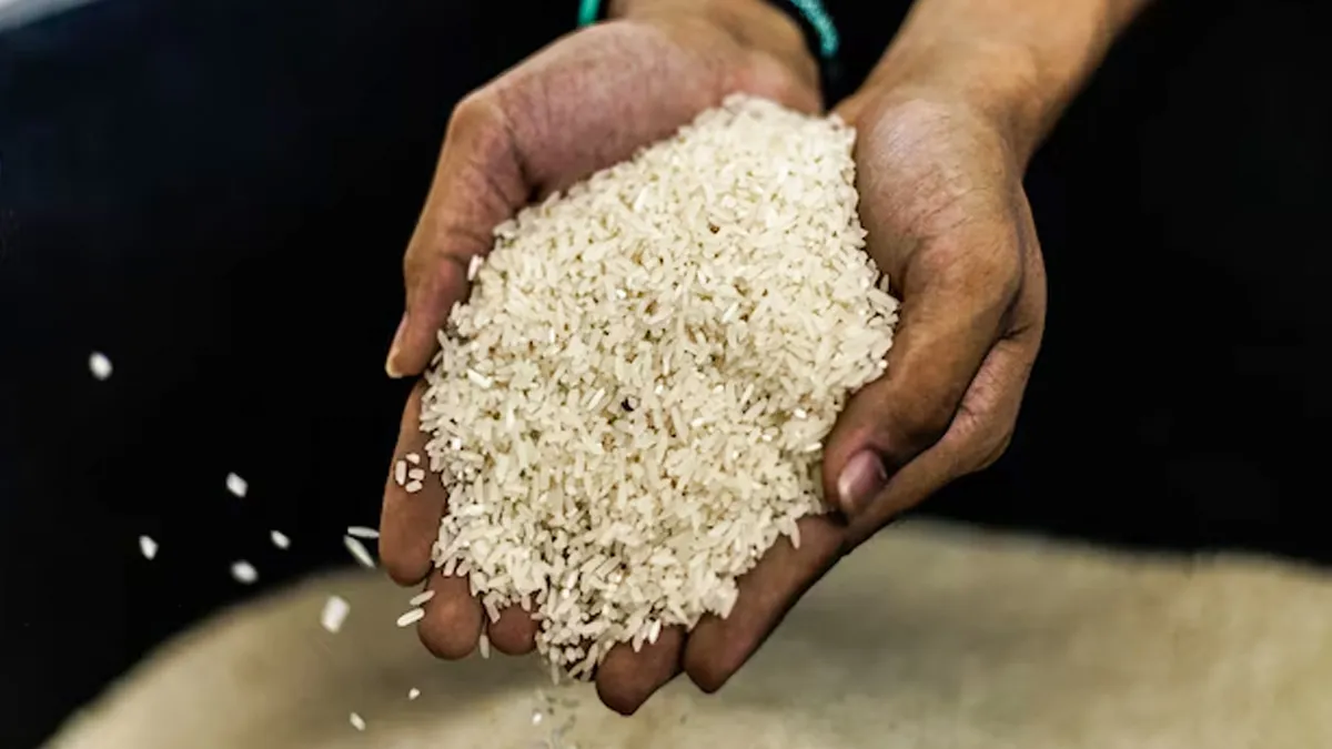 Should You Be Worried About Arsenic Levels In Rice?